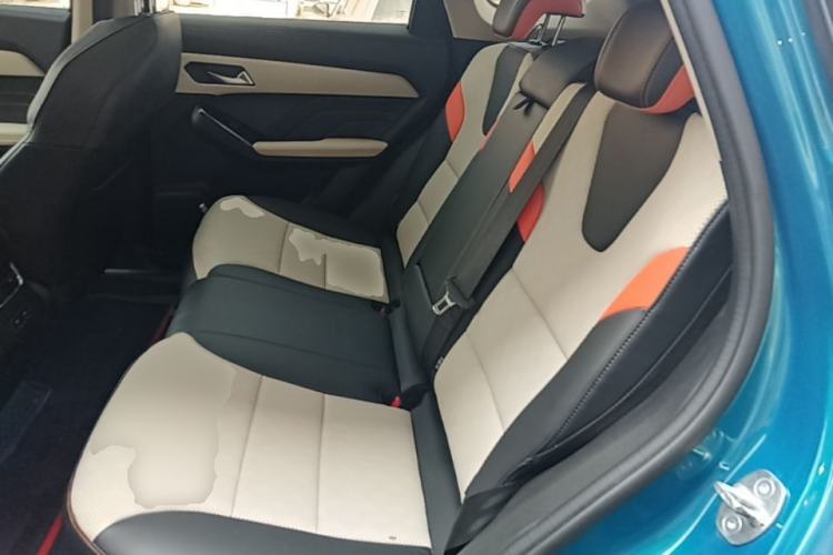 Used Haval LHERY 2021 High-Performance Version 1.5T Golden Rabbit Left Rear Seat