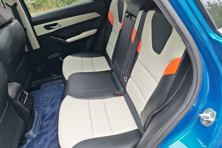 Used Haval LHERY 2021 High-Performance Version 1.5T Golden Rabbit Left Rear Seat
