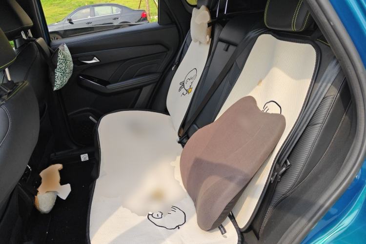 Used Haval LHERY 2021 GT Edition 1.5T Platinum Rabbit Left Rear Seat