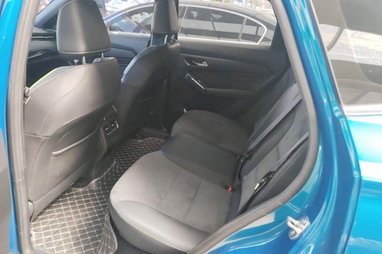 Used Haval LHERY 2021 High-Performance Version 1.5T Golden Rabbit Left Rear Seat