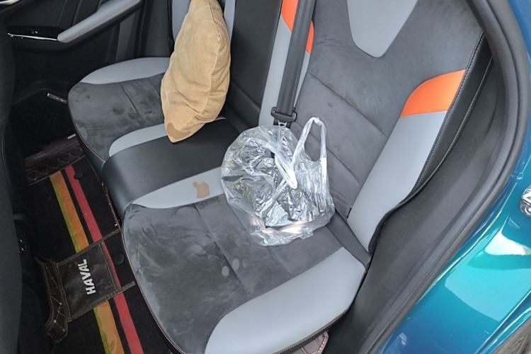 Used Haval LHERY 2021 High-Performance Version 1.5T Golden Rabbit Left Rear Seat