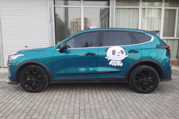 Used Haval LHERY 2021 GT Edition 1.5T Platinum Rabbit Left Side