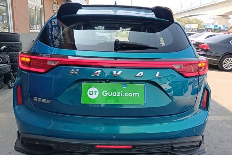 Used Haval LHERY 2021 High-Performance Version 1.5T Golden Rabbit Rear