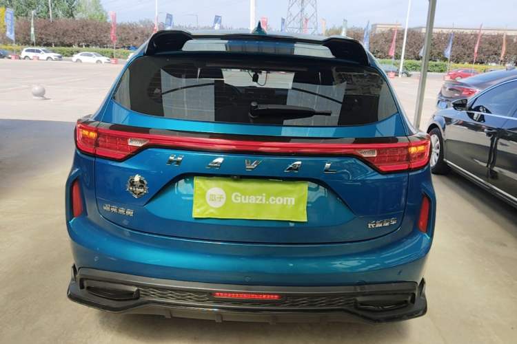 Used Haval LHERY 2021 High-Performance Version 1.5T Golden Rabbit Rear