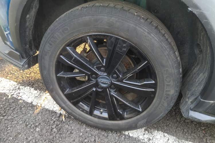 Used Haval LHERY 2021 High-Performance Version 1.5T Golden Rabbit Right Rear Wheel Hub