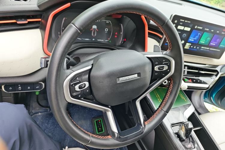 Used Haval LHERY 2021 High-Performance Version 1.5T Golden Rabbit Steering Wheel