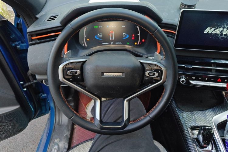 Used Haval LHERY 2021 High-Performance Version 1.5T Golden Rabbit Steering Wheel