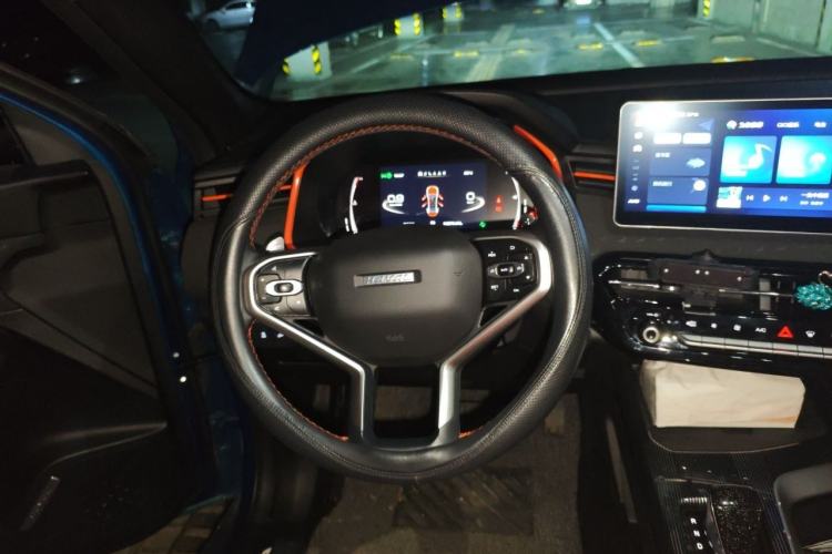 Used Haval LHERY 2021 High-Performance Version 1.5T Golden Rabbit Steering Wheel
