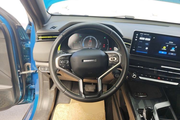 Used Haval LHERY 2021 High-Performance Version 1.5T Golden Rabbit Steering Wheel