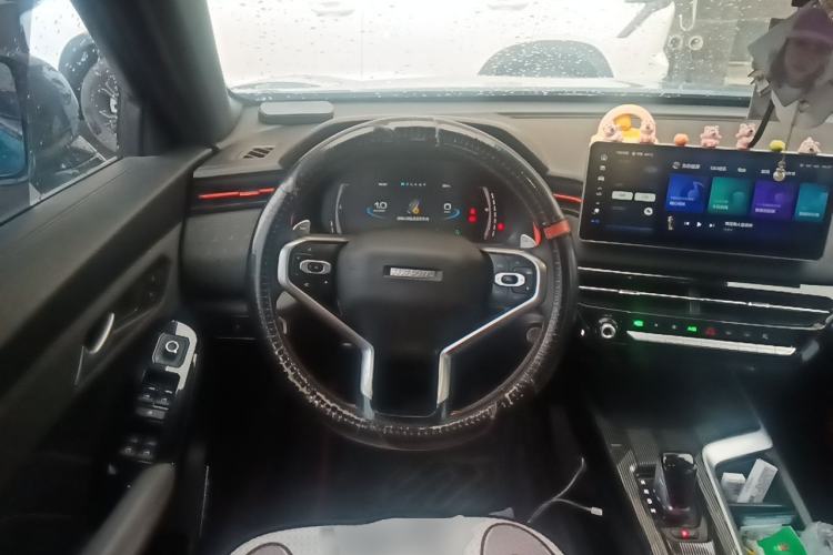 Used Haval LHERY 2021 High-Performance Version 1.5T Golden Rabbit Steering Wheel