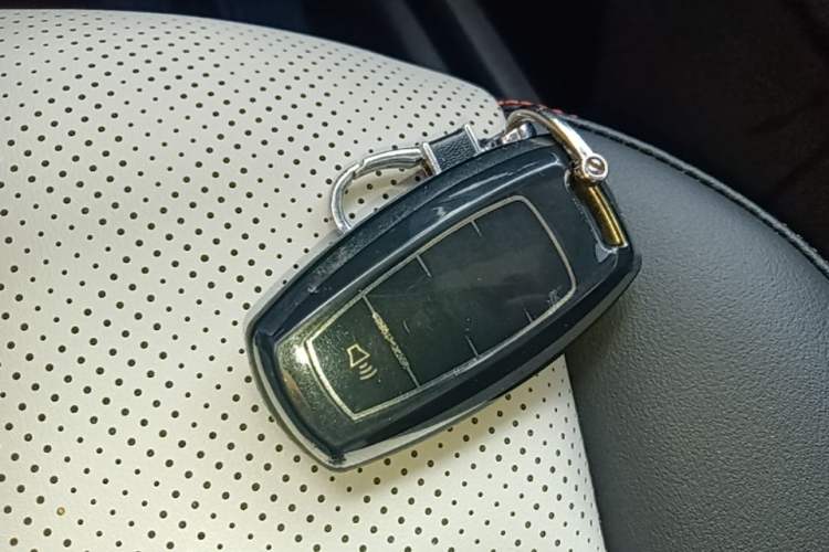Used Haval LHERY 2021 High-Performance Version 1.5T Golden Rabbit Vehicle Key