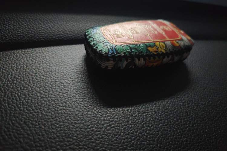 Used Haval LHERY 2021 High-Performance Version 1.5T Golden Rabbit Vehicle Key