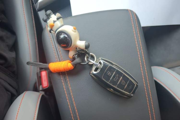 Used Haval LHERY 2021 High-Performance Version 1.5T Golden Rabbit Vehicle Key