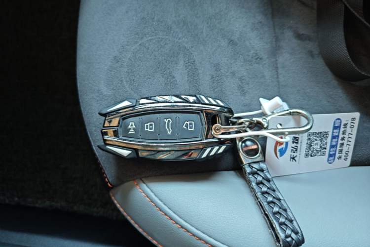 Used Haval LHERY 2021 High-Performance Version 1.5T Golden Rabbit Vehicle Key