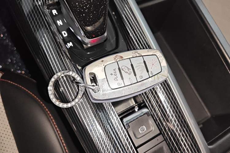 Used Haval LHERY 2021 High-Performance Version 1.5T Golden Rabbit Vehicle Key