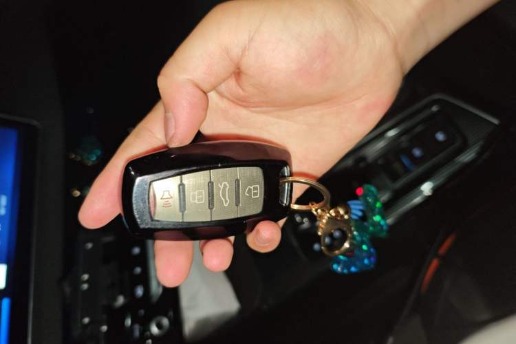 Used Haval LHERY 2021 High-Performance Version 1.5T Golden Rabbit Vehicle Key