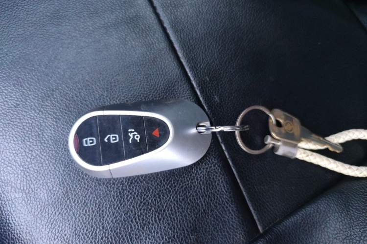 Used Haval LHERY 2021 GT Edition 1.5T Platinum Rabbit Vehicle Key