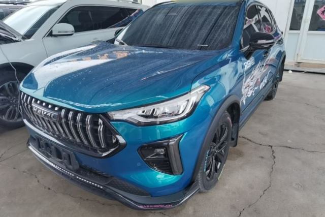Used Haval LHERY 2021 High-Performance Version 1.5T Golden Rabbit