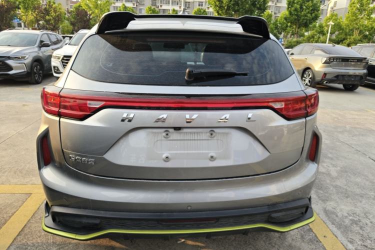 Used Haval LHERY 2021 High-Performance Version 1.5T Golden Rabbit Rear
