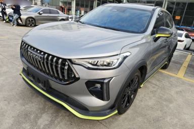 Used Haval LHERY 2021 High-Performance Version 1.5T Golden Rabbit