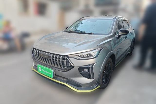 Used Haval LHERY 2021 High-Performance Version 1.5T Golden Rabbit