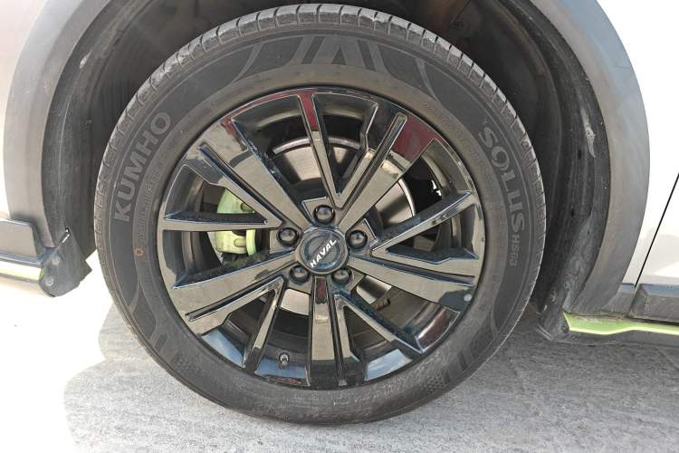Used Haval LHERY 2021 High-Performance Version 1.5T Golden Rabbit Exterior 7