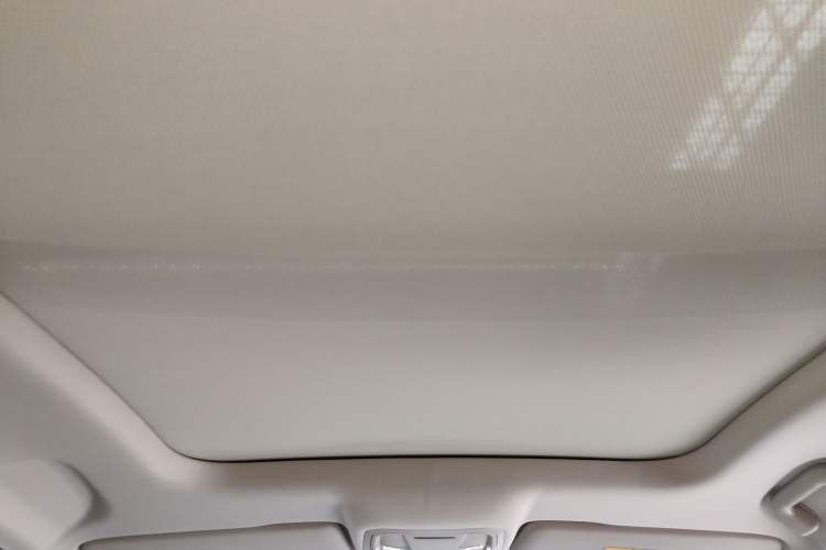 Used Haval LHERY 2021 High-Performance Version 1.5T Golden Rabbit Headliner