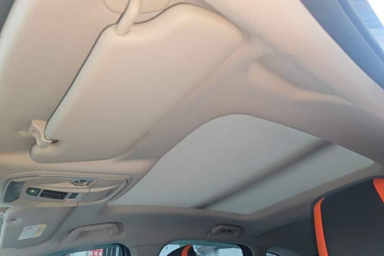 Used Haval LHERY 2021 High-Performance Version 1.5T Golden Rabbit Headliner