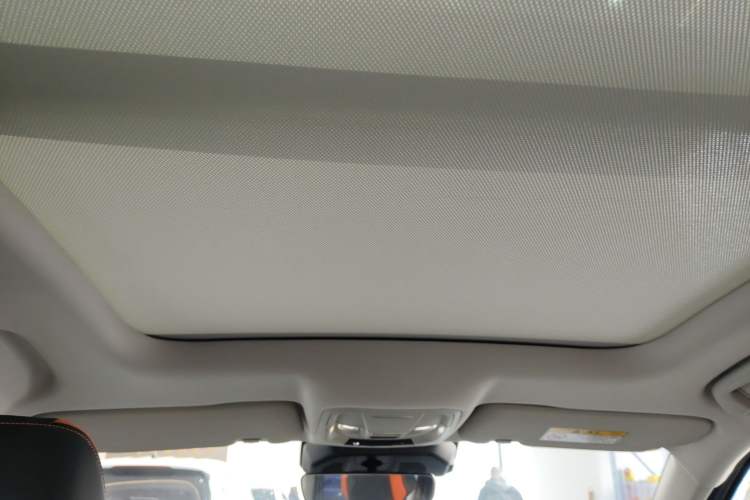 Used Haval LHERY 2021 High-Performance Version 1.5T Golden Rabbit Headliner