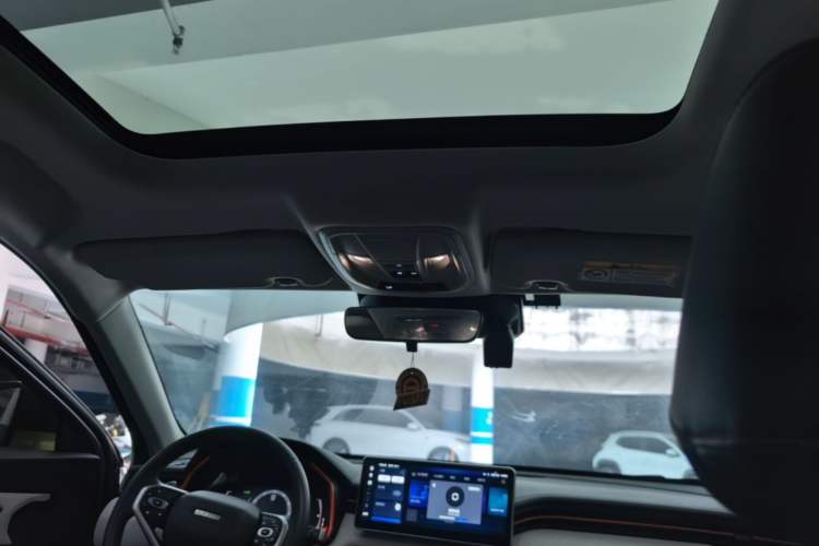 Used Haval LHERY 2021 High-Performance Version 1.5T Golden Rabbit Headliner