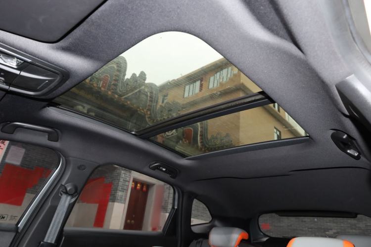 Used Haval LHERY 2021 High-Performance Version 1.5T Golden Rabbit Headliner