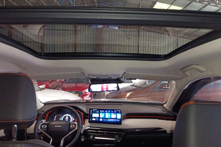 Used Haval LHERY 2021 High-Performance Version 1.5T Golden Rabbit Headliner