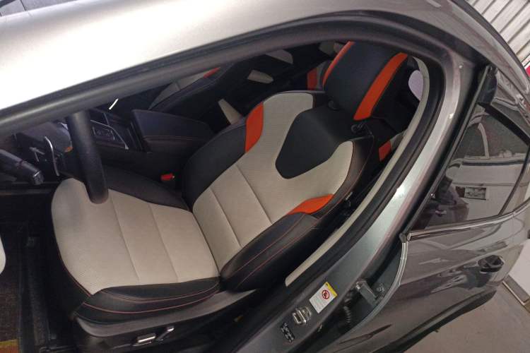 Used Haval LHERY 2021 High-Performance Version 1.5T Golden Rabbit Left Front Seat