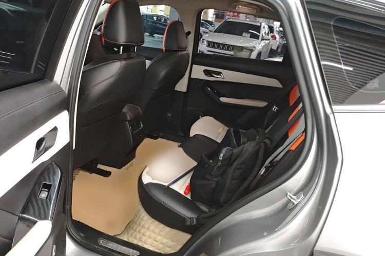 Used Haval LHERY 2021 High-Performance Version 1.5T Golden Rabbit Left Rear Seat