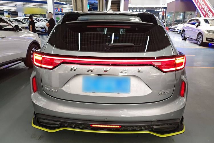 Used Haval LHERY 2021 High-Performance Version 1.5T Golden Rabbit Rear