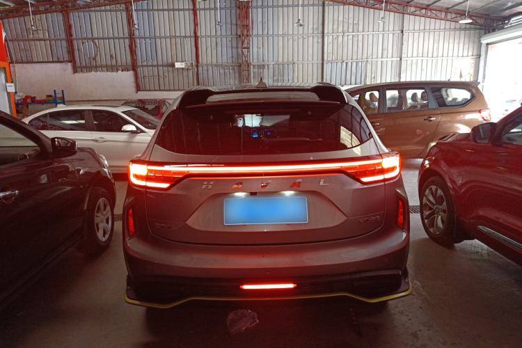 Used Haval LHERY 2021 High-Performance Version 1.5T Golden Rabbit Rear