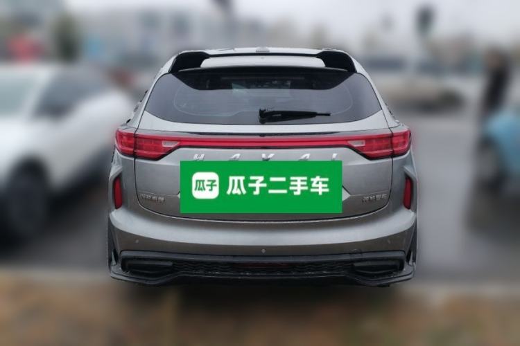 Used Haval LHERY 2021 High-Performance Version 1.5T Golden Rabbit Rear