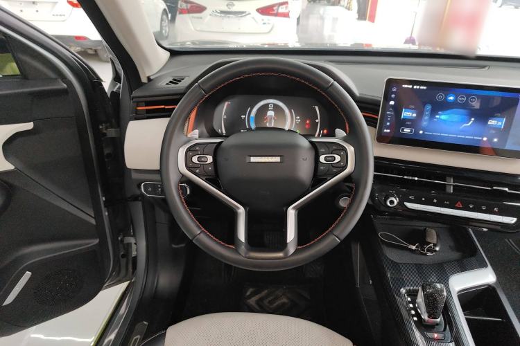 Used Haval LHERY 2021 High-Performance Version 1.5T Golden Rabbit Steering Wheel