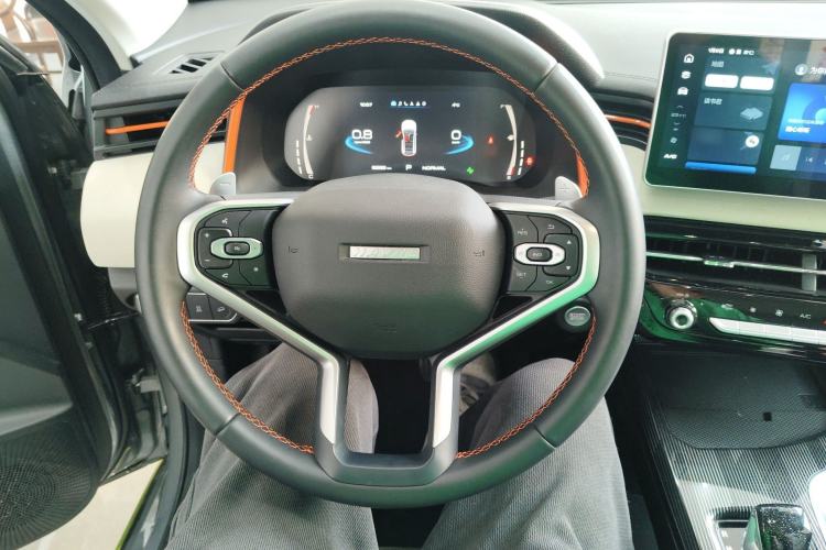Used Haval LHERY 2021 High-Performance Version 1.5T Golden Rabbit Steering Wheel