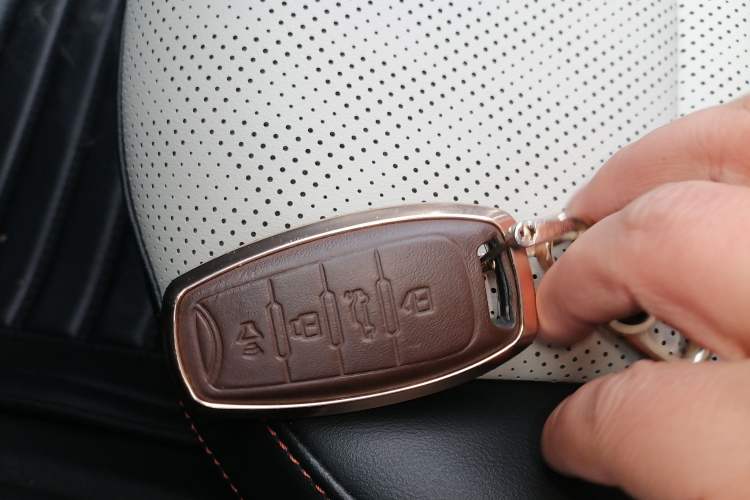 Used Haval LHERY 2021 High-Performance Version 1.5T Golden Rabbit Vehicle Key