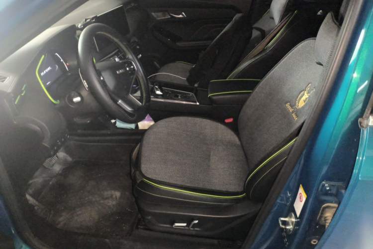 Used Haval LHERY 2021 GT Edition 1.5T Platinum Rabbit Left Front Seat