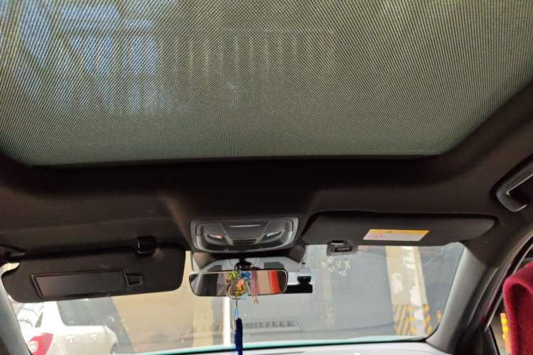 Used Haval LHERY 2021 High-Performance Version 1.5T Golden Rabbit Headliner
