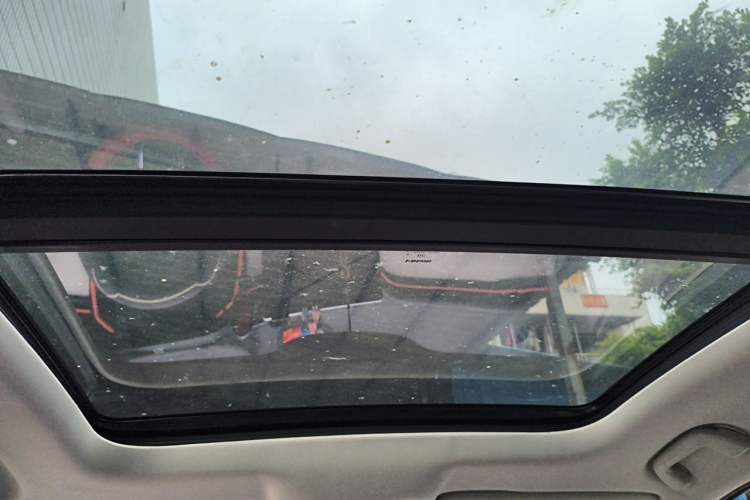 Used Haval LHERY 2021 High-Performance Version 1.5T Golden Rabbit Headliner