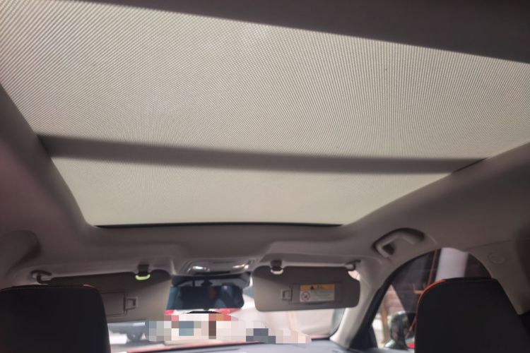 Used Haval LHERY 2021 High-Performance Version 1.5T Golden Rabbit Headliner