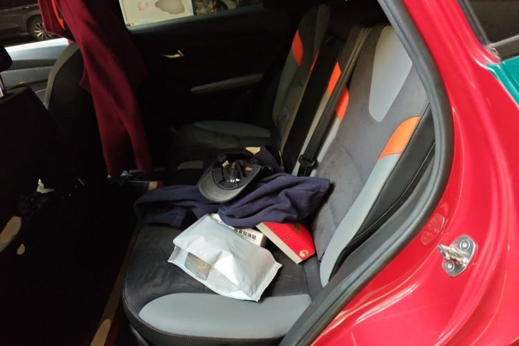 Used Haval LHERY 2021 High-Performance Version 1.5T Golden Rabbit Left Rear Seat