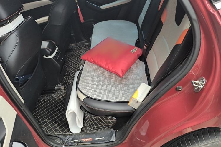 Used Haval LHERY 2021 High-Performance Version 1.5T Golden Rabbit Left Rear Seat