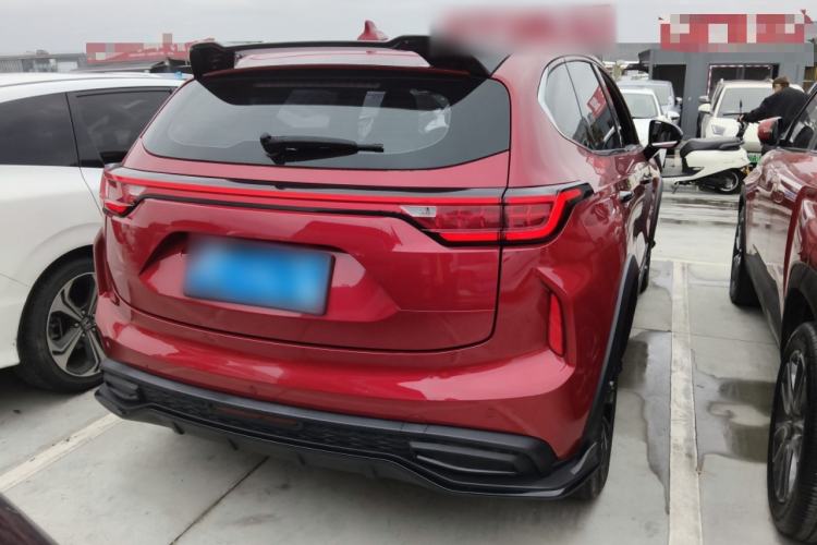 Used Haval LHERY 2021 High-Performance Version 1.5T Golden Rabbit Rear