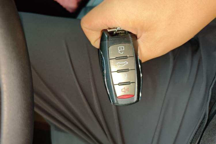 Used Haval LHERY 2021 High-Performance Version 1.5T Golden Rabbit Vehicle Key
