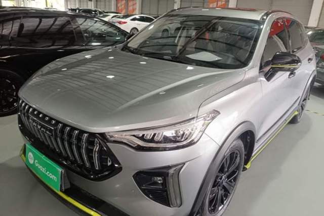 Used Haval LHERY 2021 High-Performance Version 1.5T Golden Rabbit