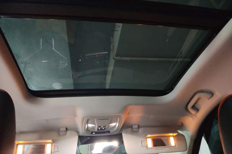 Used Haval LHERY 2021 High-Performance Version 1.5T Golden Rabbit Headliner